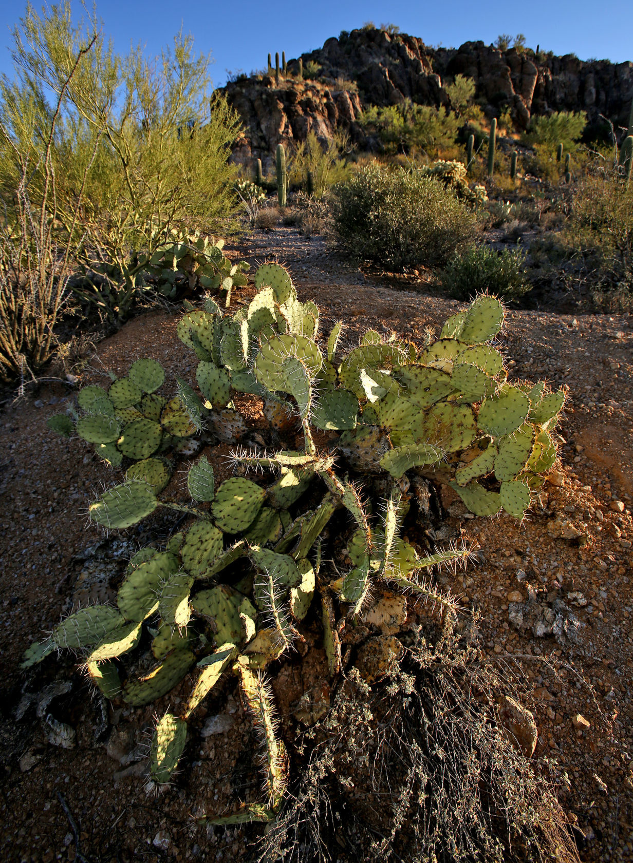Robles Pass